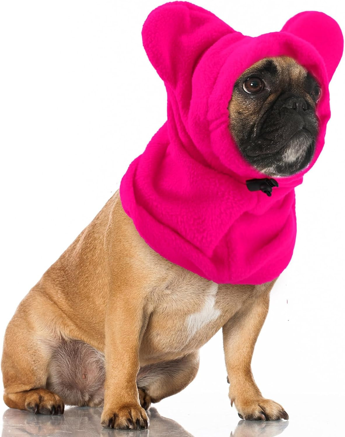 Cozy Ear & Neck Warmer for Dogs