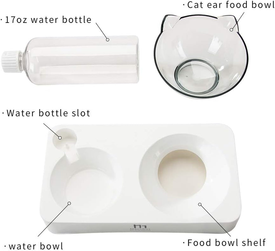 Double Elevated Dog Cat Bowl, Pets Water and Food Bowl Set, 15° Raised Tilted Dishes Indoor for Kitten, Puppies, Small or Medium Size Dogs Cats