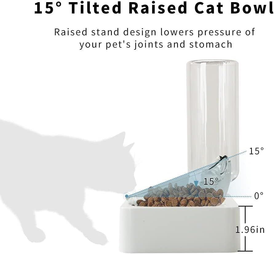 Double Elevated Dog Cat Bowl, Pets Water and Food Bowl Set, 15° Raised Tilted Dishes Indoor for Kitten, Puppies, Small or Medium Size Dogs Cats