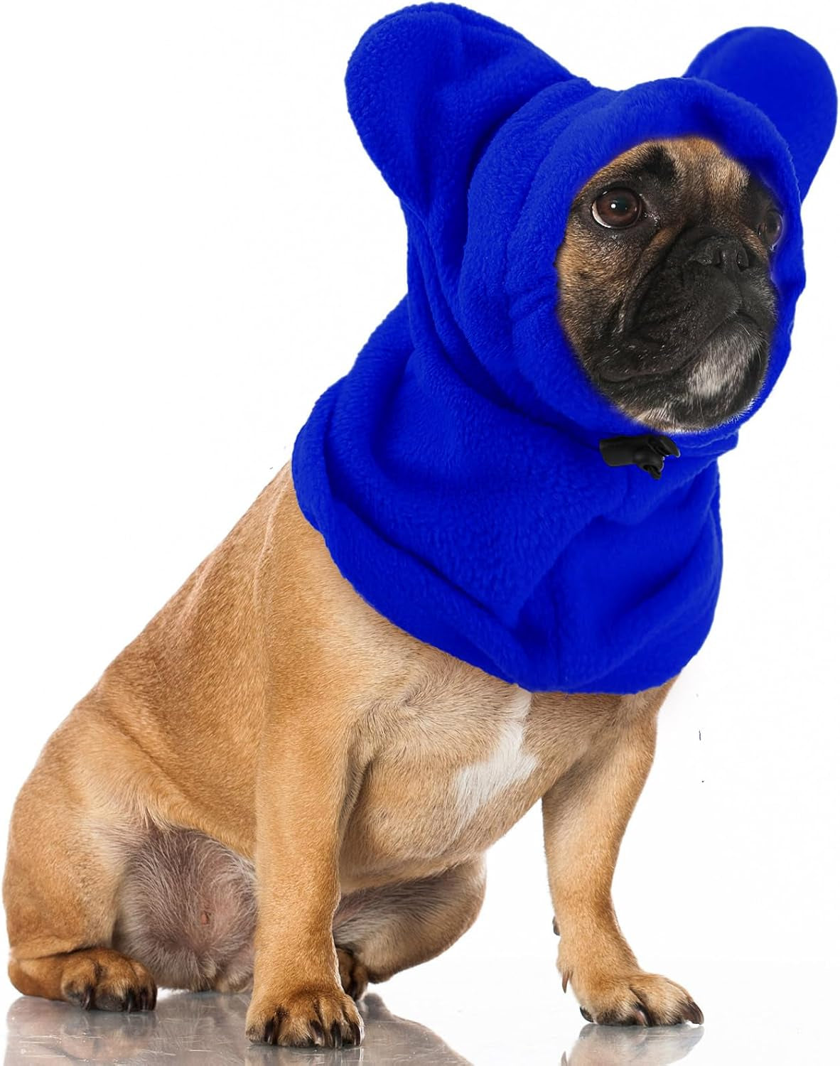 Cozy Ear & Neck Warmer for Dogs