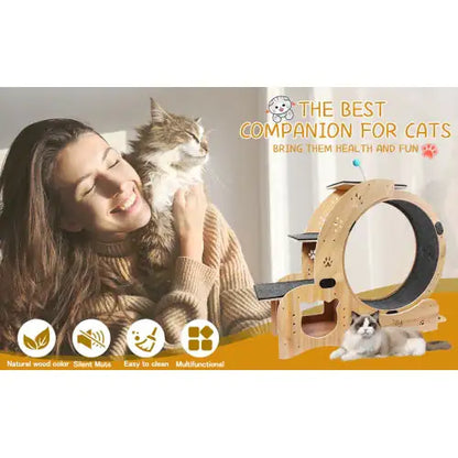 Cat Wheel 6-in-1 Cat Fitness Wheel