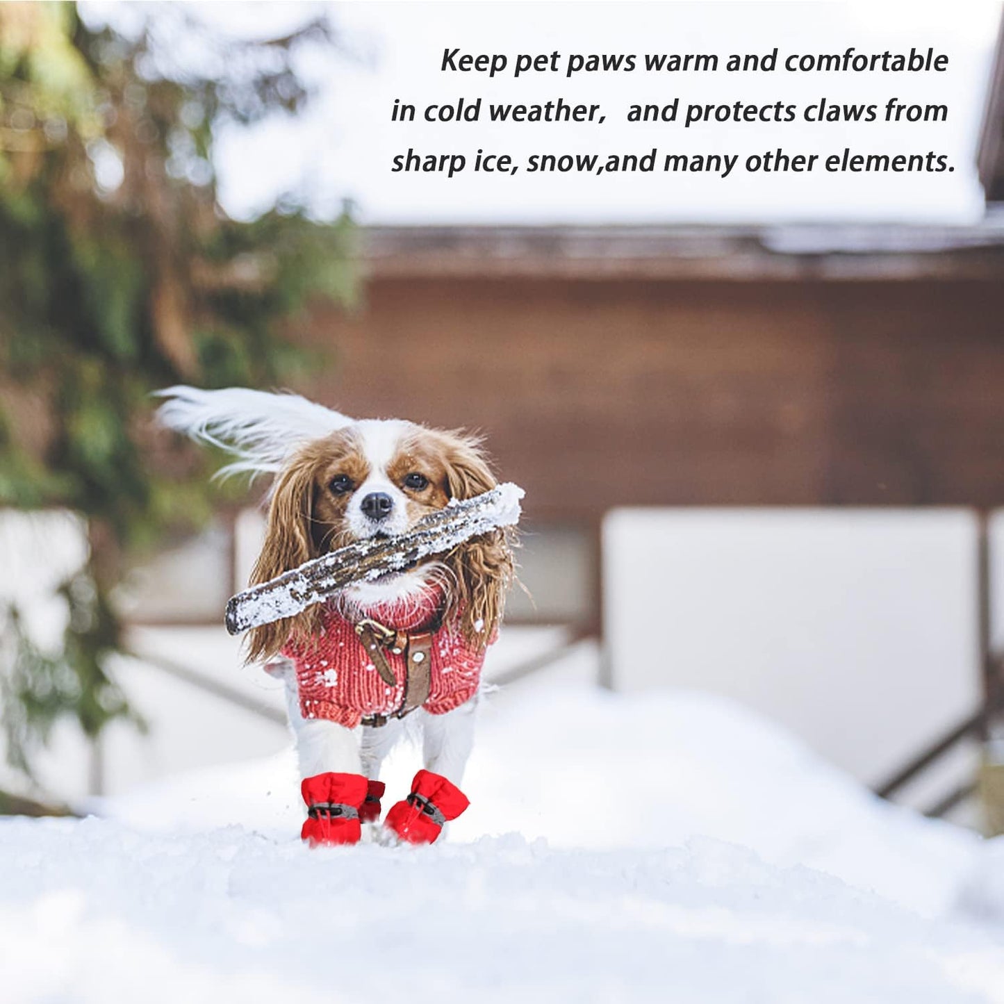 Dog Snow Boots, Dog Shoes for Winter, Dog Winter Boots for Small Medium Dogs Puppies, Dog Boots & Paw Protectors with Anti-Slip Sole and Plush, Pack of 4