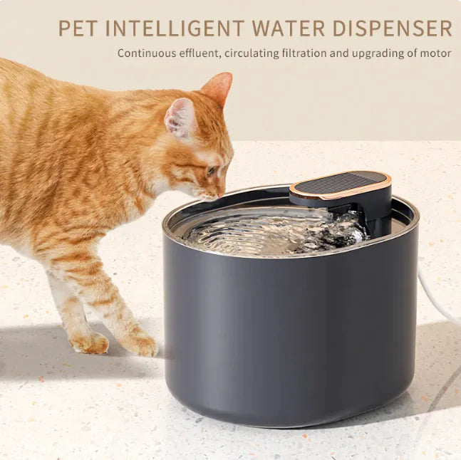 Automatic Pet Water Fountain with Quiet Operation, USB Charging – Cat & Dog Drinking Dispenser