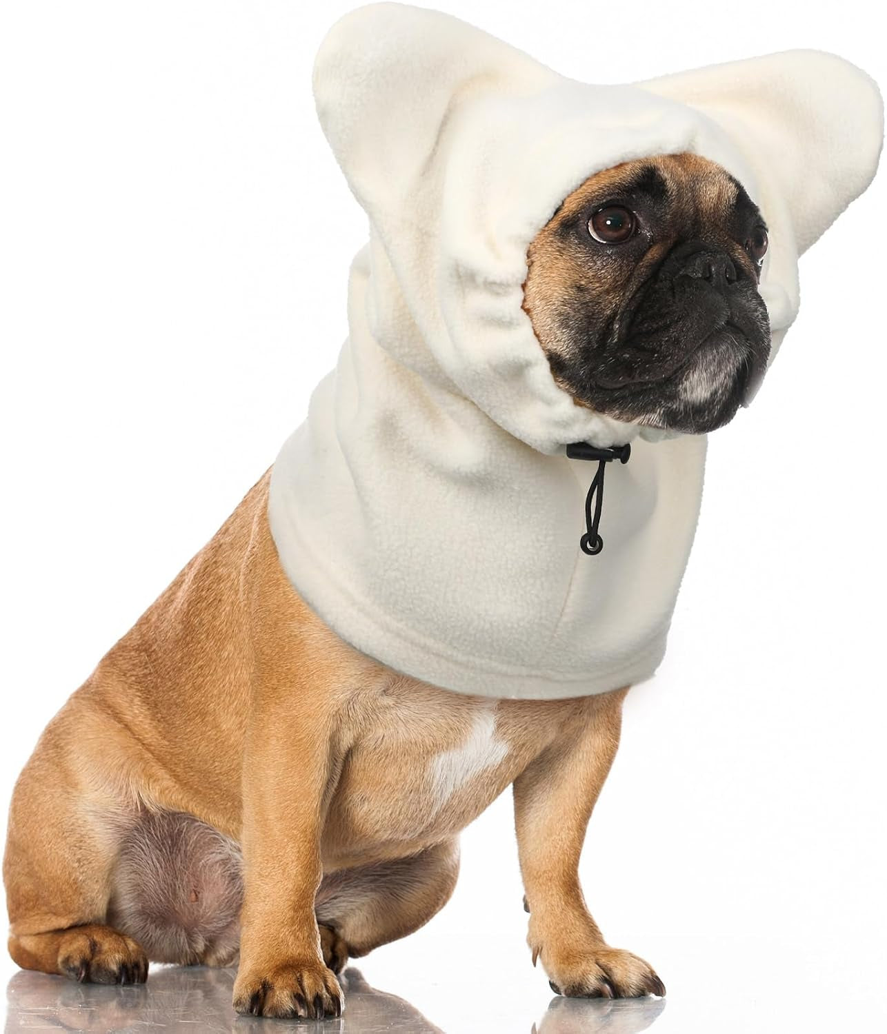 Cozy Ear & Neck Warmer for Dogs
