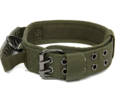 Camouflage Nylon Horse and Dog Collar