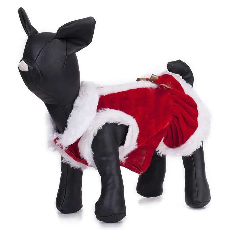 Teddy Bichon Pet Clothes - New Collection