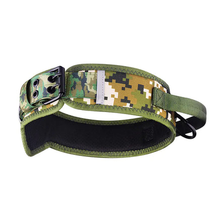 Camouflage Nylon Horse and Dog Collar