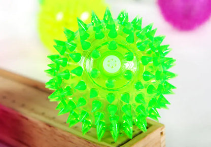 Glow-in-the-Dark Rubber Ball for Dogs and Cats
