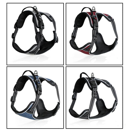 Dog Harness for Medium to Large Breeds, Sporty Design