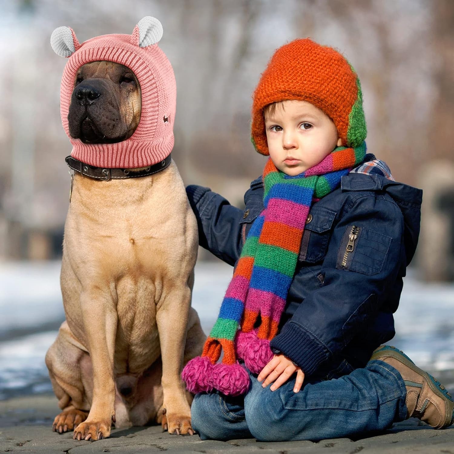 Knitted Comfort Ear Hood for Dogs