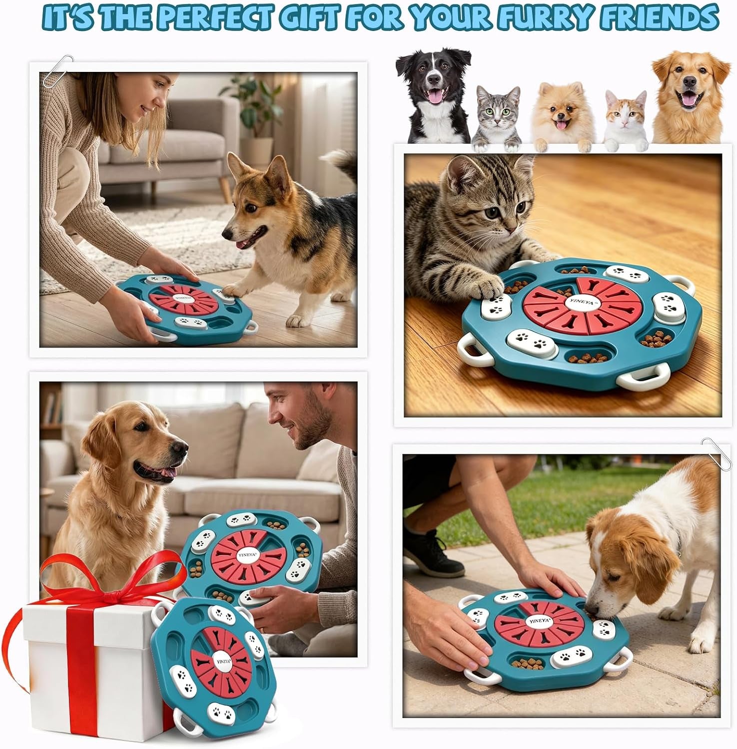 Dog Puzzle Toy, Enrichment Toys for Dogs Training IQ & Treat Brain Games, Dog Toys to Keep Them Busy, Mental Stimulation for Dogs, Puppy Toy for Treat Dispensing, Puzzle for Small, Medium, Cats