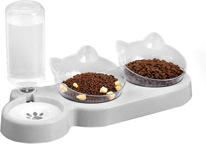 Double Elevated Dog Cat Bowl, Pets Water and Food Bowl Set, 15° Raised Tilted Dishes Indoor for Kitten, Puppies, Small or Medium Size Dogs Cats