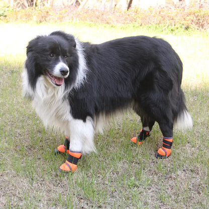 Non-slip Dog Shoes for Outdoor Sports Climbing