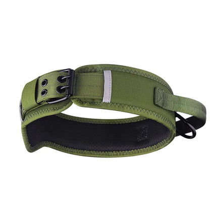 Camouflage Nylon Horse and Dog Collar