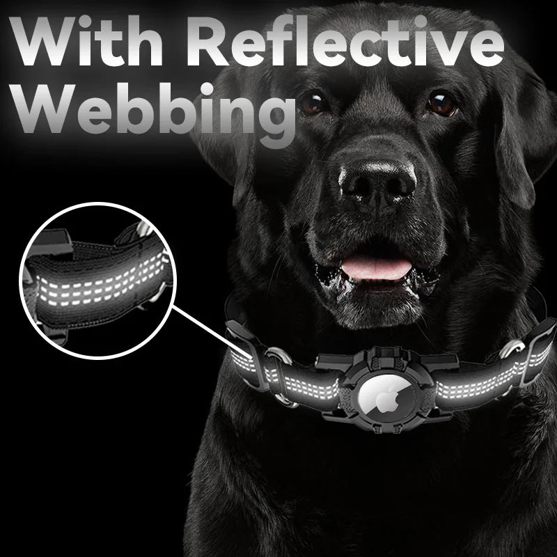 Anti-Lost Pet Dog Collar with Positioning Feature