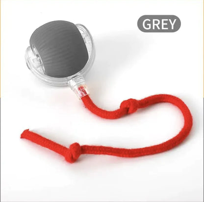 Self-Rolling Cat Toy