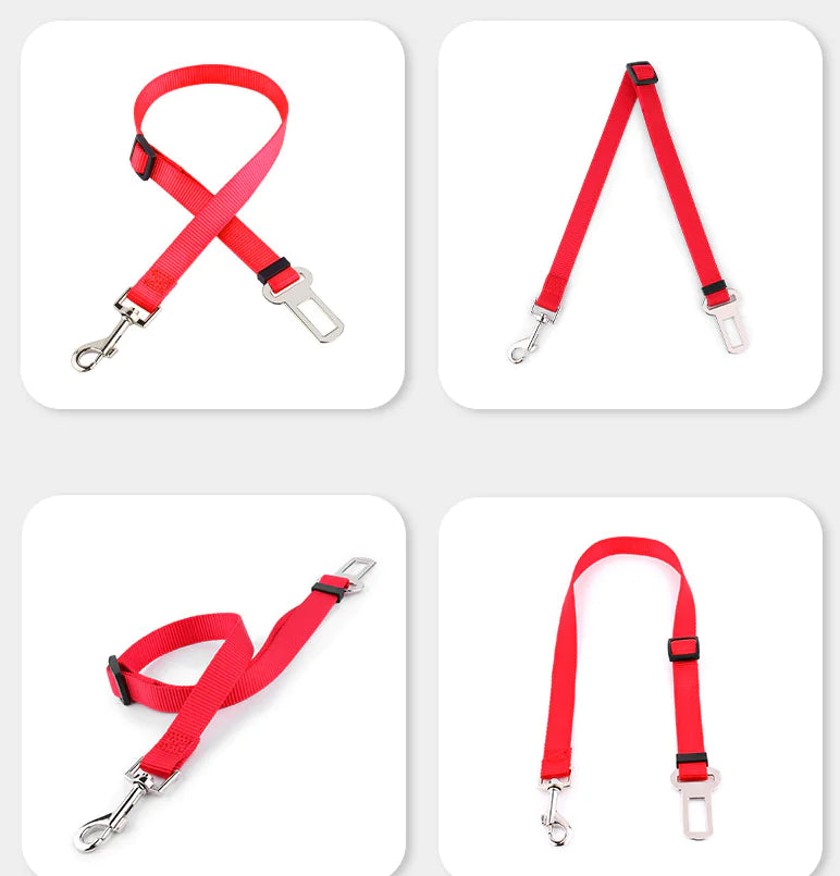 Dog Safety Buckle and Traction Rope for Cars
